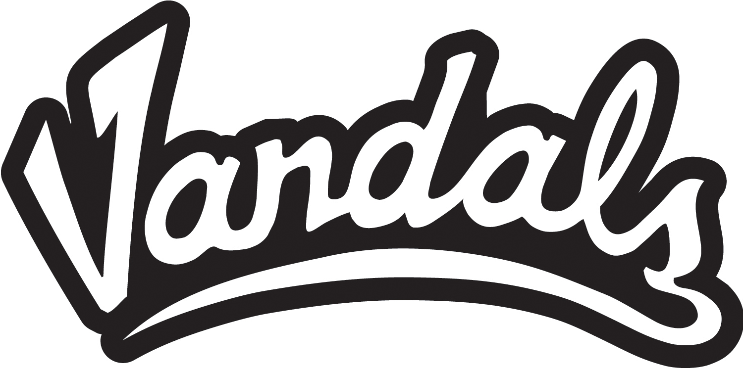 Idaho Vandals 2014-2019 Wordmark Logo diy DTF decal sticker